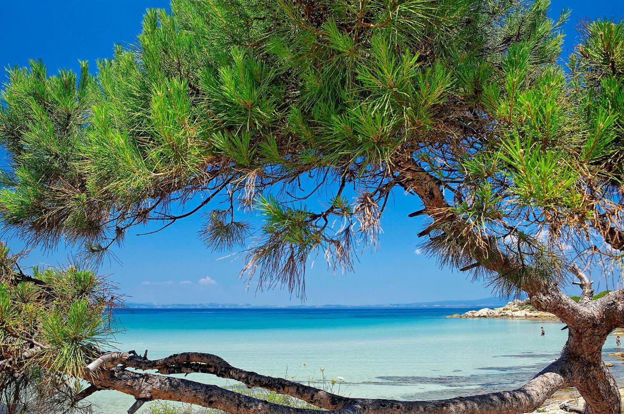 Hotel Ikos Oceania Nea Moudania Esterno foto